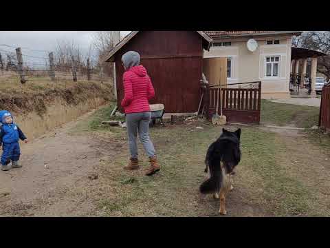 Nokia 8.3 5G 4K@30fps video test