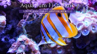 🐟 Aquarium Fish Tank with Nature Sound | Nature Relaxing Sound to Reduce Stress and Anxiety | 1OHRS