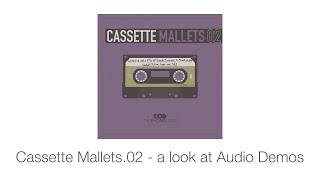 Video thumbnail for TPL | Cassette Mallets.02 - a look at Audio Demos by THEPHONOLOOP Samples