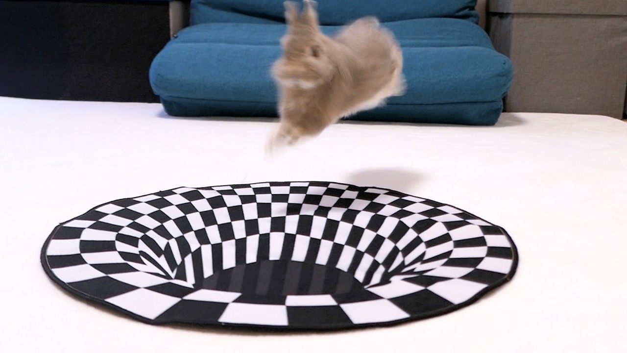 うさぎにトリックアートどっきりをしかけたら予想外の展開が待っていました