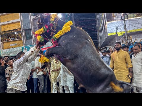 Khairatabad Sadar 2025 | Sadar Festival in Khairatabad |Fight in Sadar Festival at Hyderabad | Sadar
