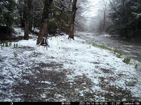 04.16.2021, 6-42am Snow