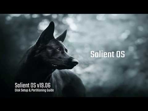 Salient OS - Disk Partitioning Setup Guide