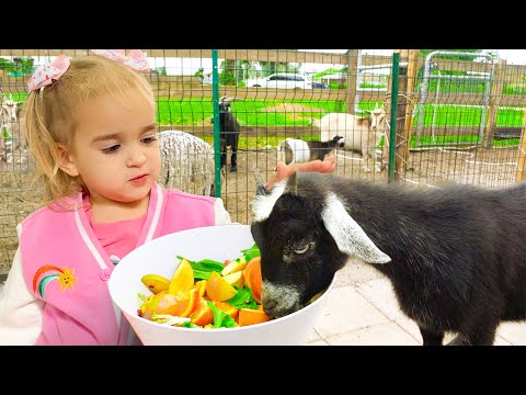 Alice with Auntie feed the animals on the farm