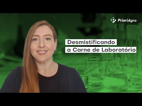 Desmistificando a carne de laboratório