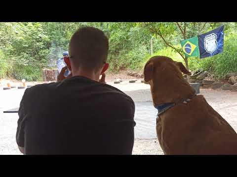 Miss - Não me assusto com tiros.