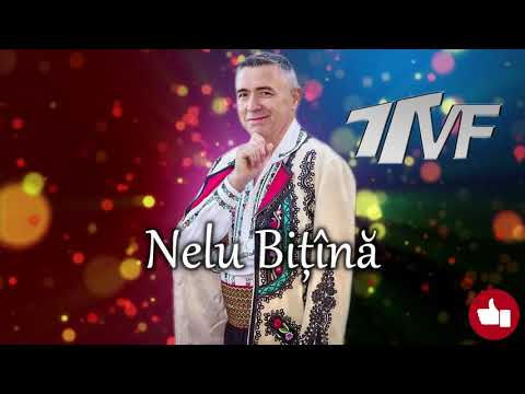 Nelu Bitina - Colaj muzical de hore si sarbe 2020 Colaj Muzica de petrecere 2020