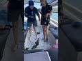 playing while fishing grouper #shorts #fishing #fish #sea #grouper