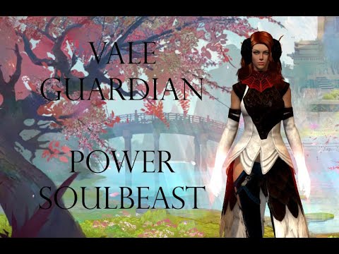 Vale Guardian - Power Soulbeast - PUG Guild Wars 2 Raids