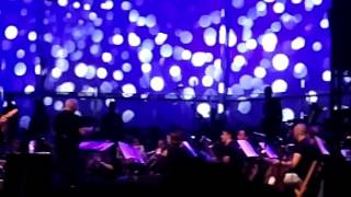 Lluvia en soledad - CELTAS CORTOS