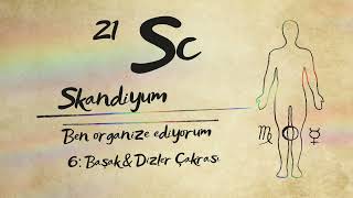 21 Skandiyum - 6. Gün - Başak - Alkhemia - ZAMAN