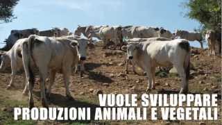 preview picture of video 'Istituto Professionale per l'Agricoltura e l'Ambiente Bruno Marchino'