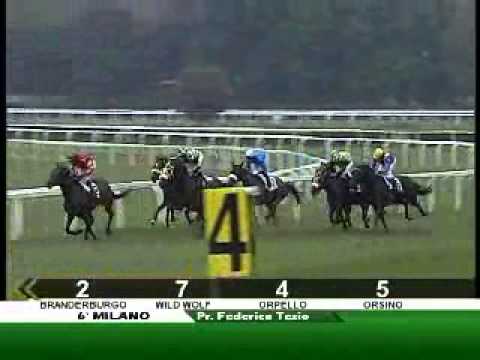 23/09/2012, Milano , Premio Federico Tesio