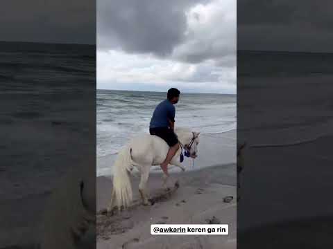 LUCU FADIL NAIK KUDA PANTAI