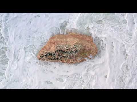 Ryoko Sekiguchi—NAGORI. Die Sehnsucht nach der von uns gegangenen Jahreszeit – Buchtrailer