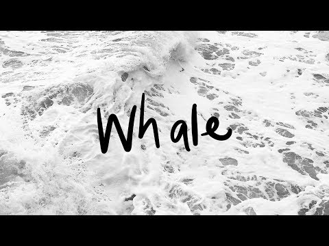 Video thumbnail for Whale