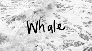 Whale Music Video
