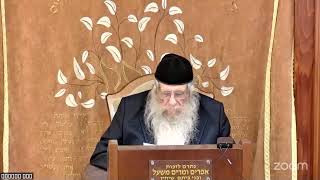 הרה"ג הרב וועכטר שליט"א כ"ד ניסן תשפ"ה - מאמר הצמח צדק שיר השירים ד"ה קמתי אני לפתוח לדודי חלק ז (הרב אברהם מנחם מענדל וכטר) - התמונה מוצגת ישירות מתוך אתר האינטרנט יוטיוב. זכויות היוצרים בתמונה שייכות ליוצרה. קישור קרדיט למקור התוכן נמצא בתוך דף הסרטון