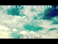 Profusion - Flying 