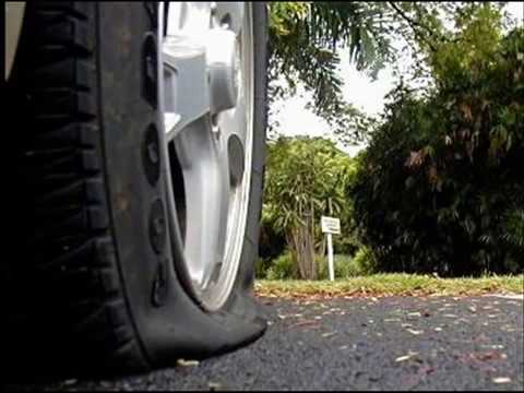 Puta Que Pariu video