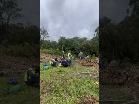 Tombamento de trator agrícola deixa idoso ferido em Cocal do Sul | Portal Engeplus