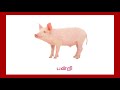 வீட்டு விலங்குகள் Learn Tamil Farm Animals