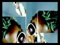Mikie Wine Nenkusaba Ugandan Music Video