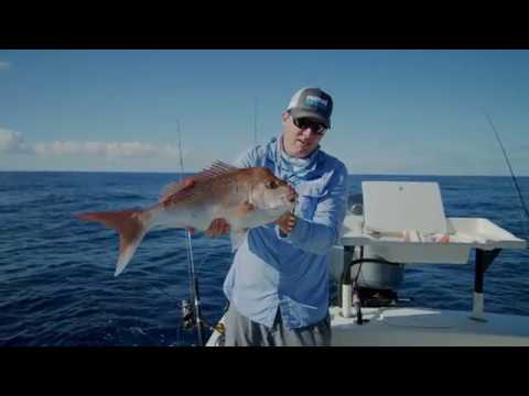 Slow Pitch Jigging for Snapper