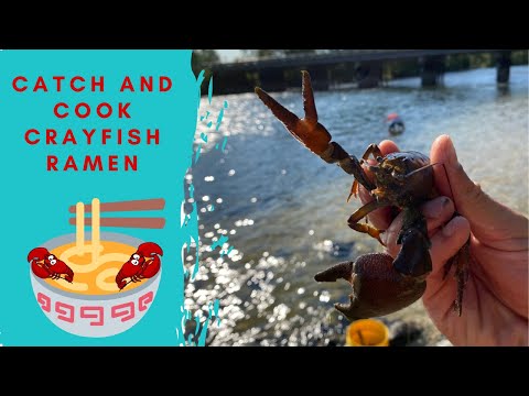 Catch and Cook Crawfish Ramen???