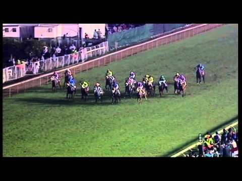 Greyville 06072013 race 12