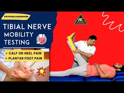 Conceptual Framework of Neurodynamics Treatment Approach The 3 Part System