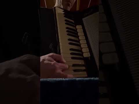 Scandalli 285/18 Accordion 120 Bass Made in Italy image 21