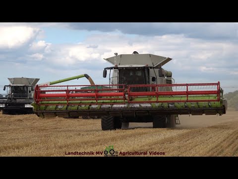 Claas - Fendt - Hawe / Getreideernte - Grain Harvest  2022