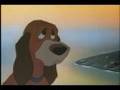 The Fox And The Hound To Die For Tod Copper