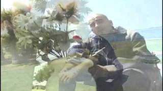 meant 2 be by mr sancho