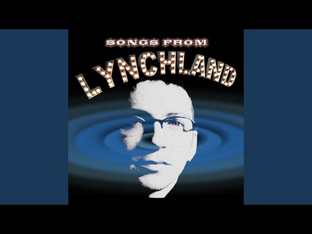 Liam Lynch, el artista detrás de United States of Whatever