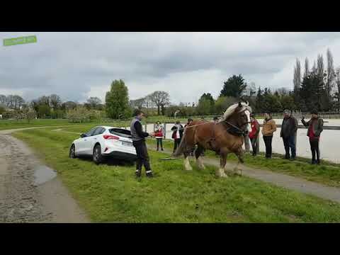 Когда и одной лошадиной силы достаточно