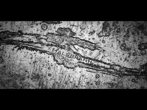 Halsbrann - Flight or Fight