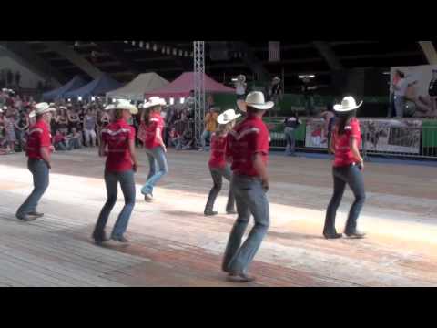 Fast As A Shark line dance - WILD COUNTRY - Voghera Country Festival 2012