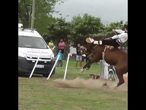 Monta en basto hay CORAJE en Colonia Mascias Santa Fe