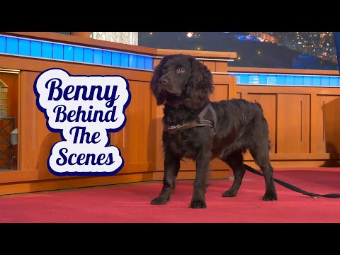 ベニー・コルベールの舞台裏 (Benny Colbert Behind The Scenes)