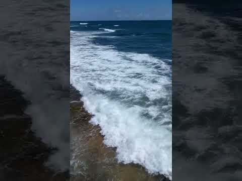 Sri Lanka 🇱🇰 |Sea|Nature🍃|Amazing video|Nature Tag |beautiful places |Subscribe me🍃💫