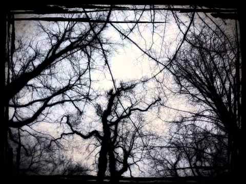 Peat38 Vergessen Part 2