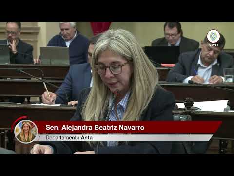Senadora Alejandra Navarro - Carta Muncipal de Apolinario Saravia.
