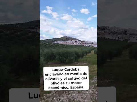 LUQUE-CÓRDOBA: ENCLAVADO EN MEDIO DE OLIVARES Y EL OLIVO ES SU MOTOR ECONÓMICO. España.