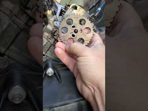 Can-Am V-Twin Timing