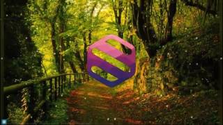 The Chainsmokers Ft. ColdPlay - Something Just Like This (Don Diablo Remix)