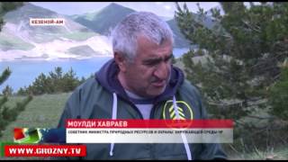 Молодой хвойный лес появится у озера Кезеной-Ам