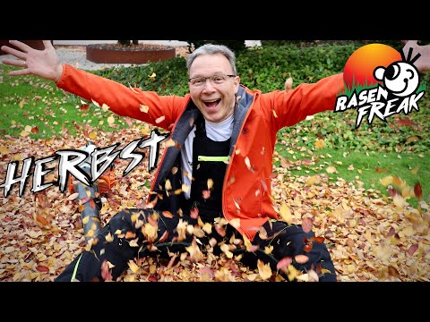 RASENPFLEGE im Herbst 3.0, LAUB harken, kalken - der RASENFREAK liebt Comics und hat Spaß mit Laub 😉