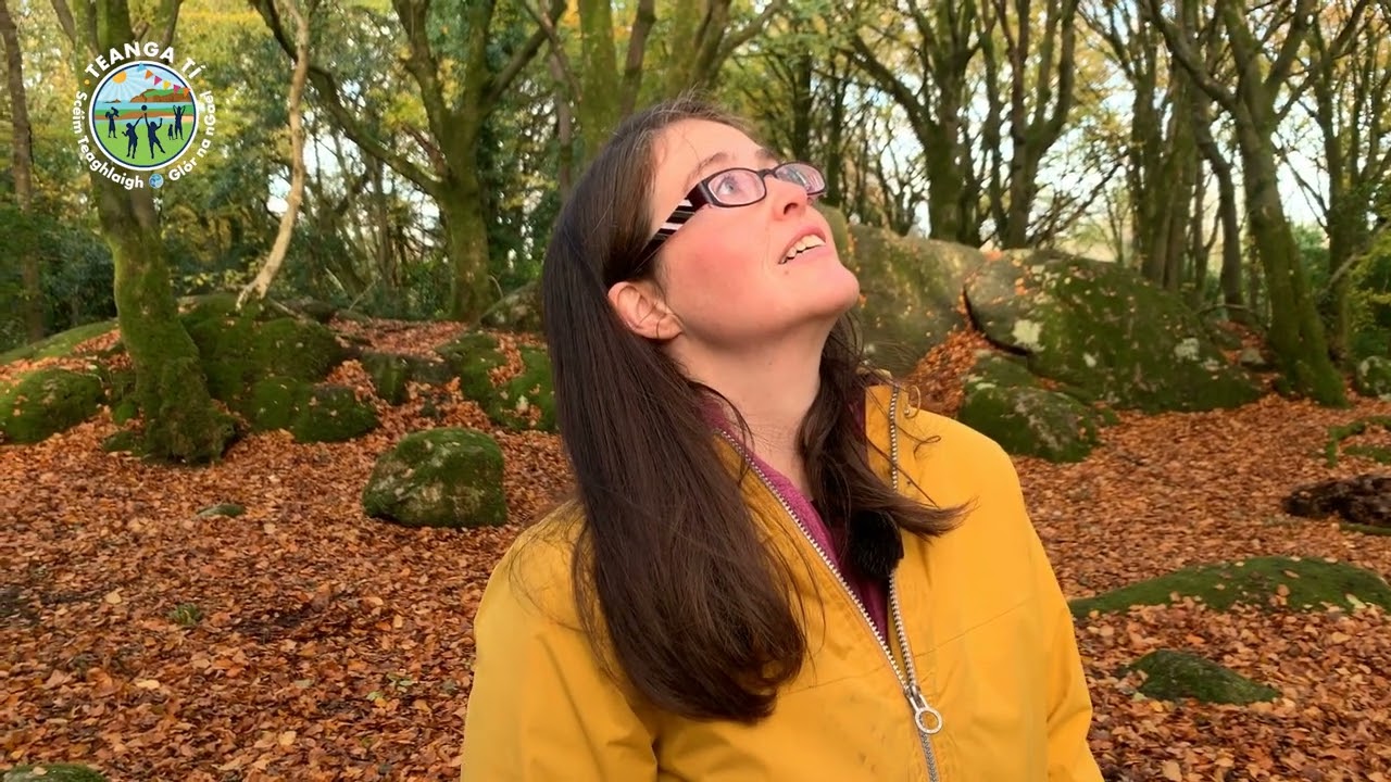 Aireachas le Katie McGreal 1